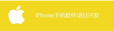 手機(jī)網(wǎng)站開發(fā)
